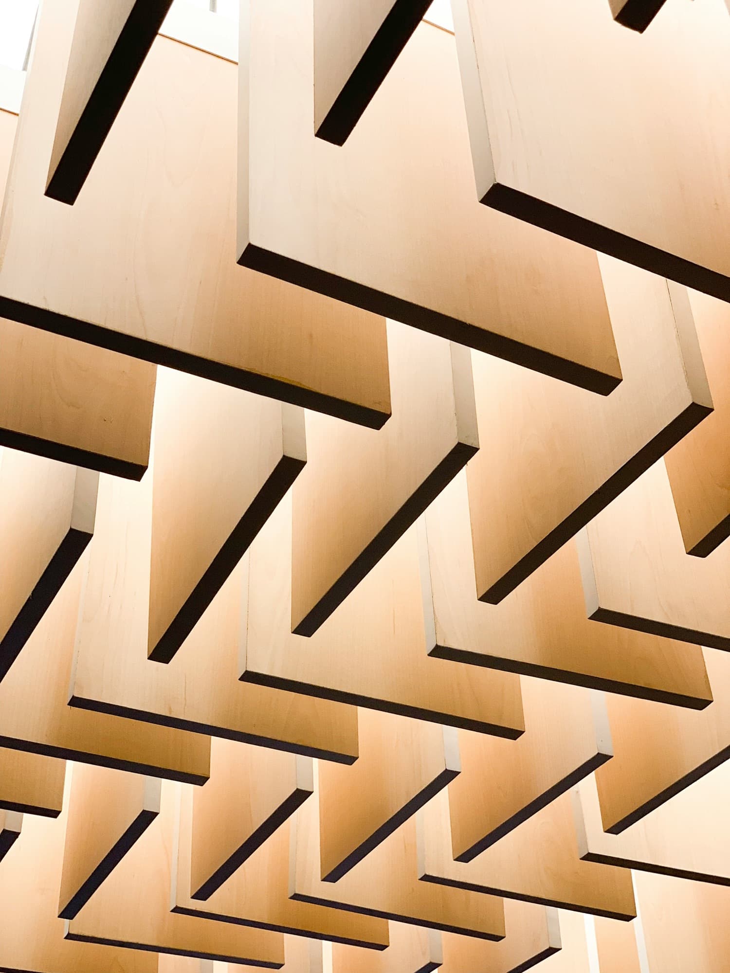 Timeless Beauty - Architectural Background 3