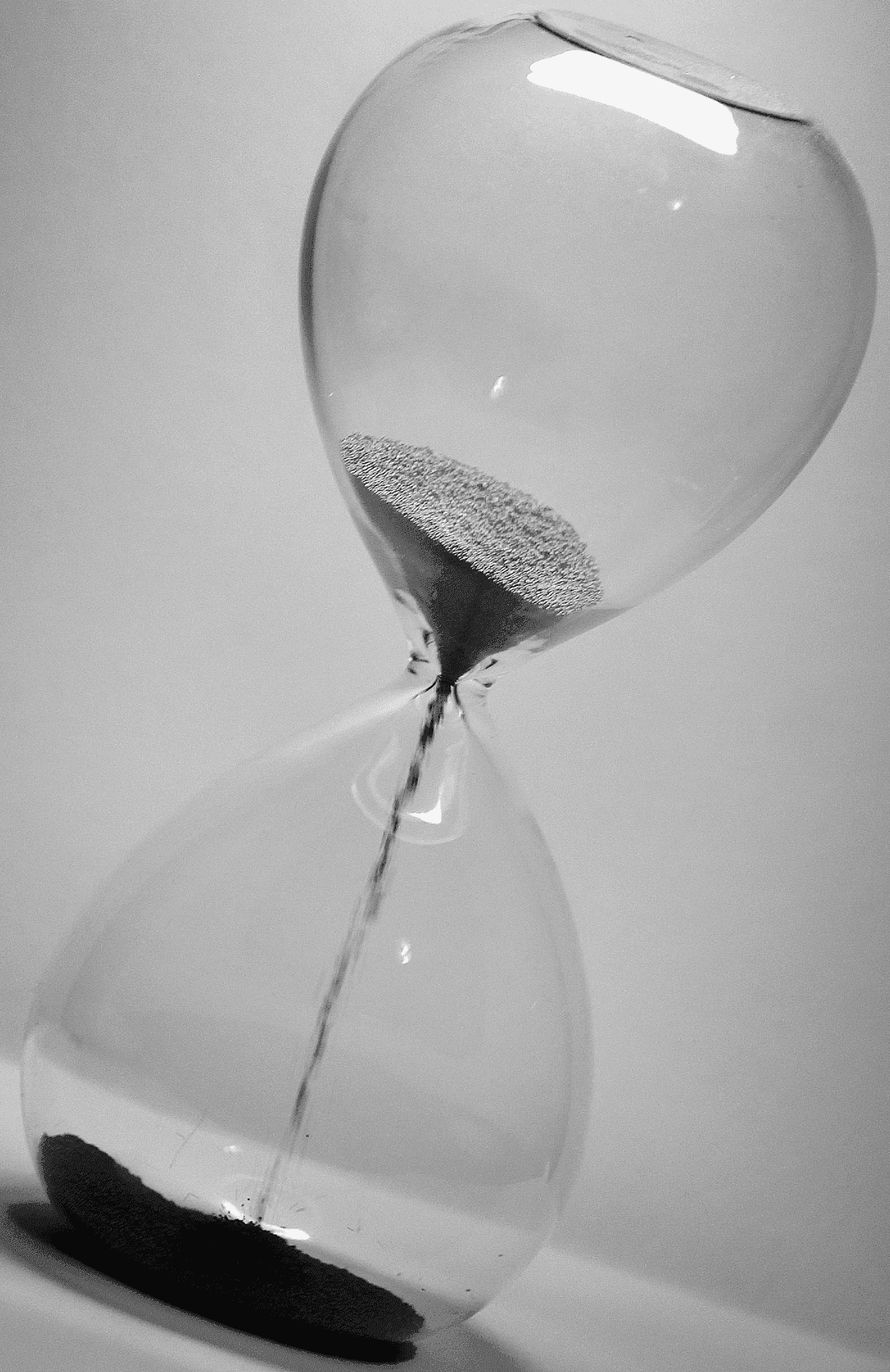 Timeless Beauty - Portrait