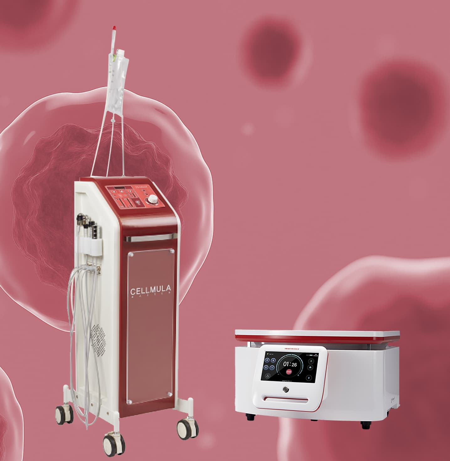 毛囊护理 治疗室